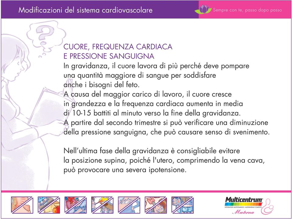 A causa del maggior carico di lavoro, il cuore cresce in grandezza e la frequenza cardiaca aumenta in media di 10-15 battiti al minuto verso la fine della gravidanza.