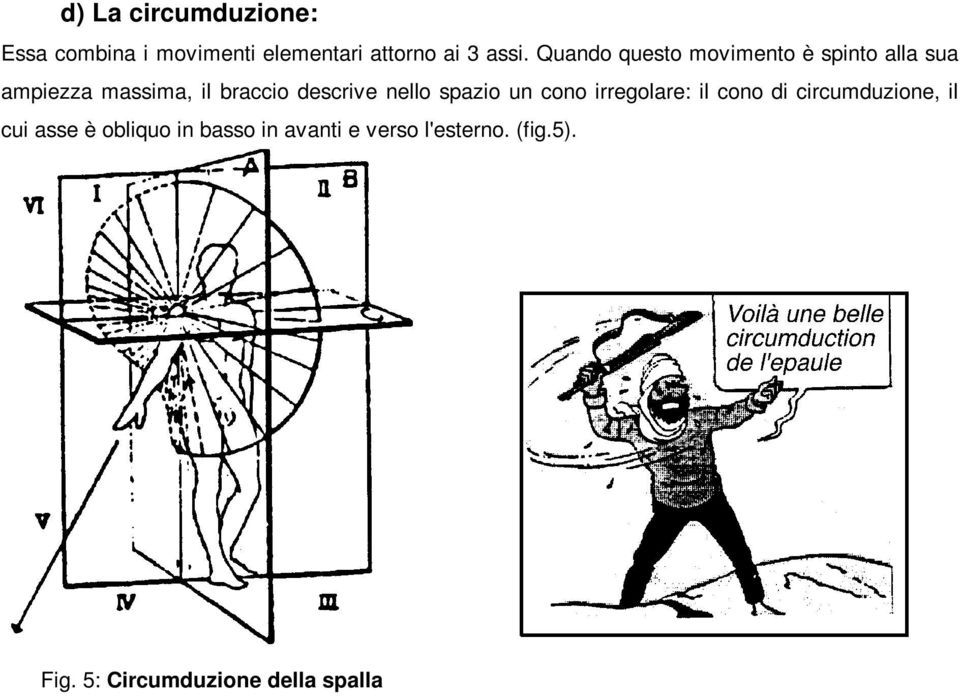 nello spazio un cono irregolare: il cono di circumduzione, il cui asse è