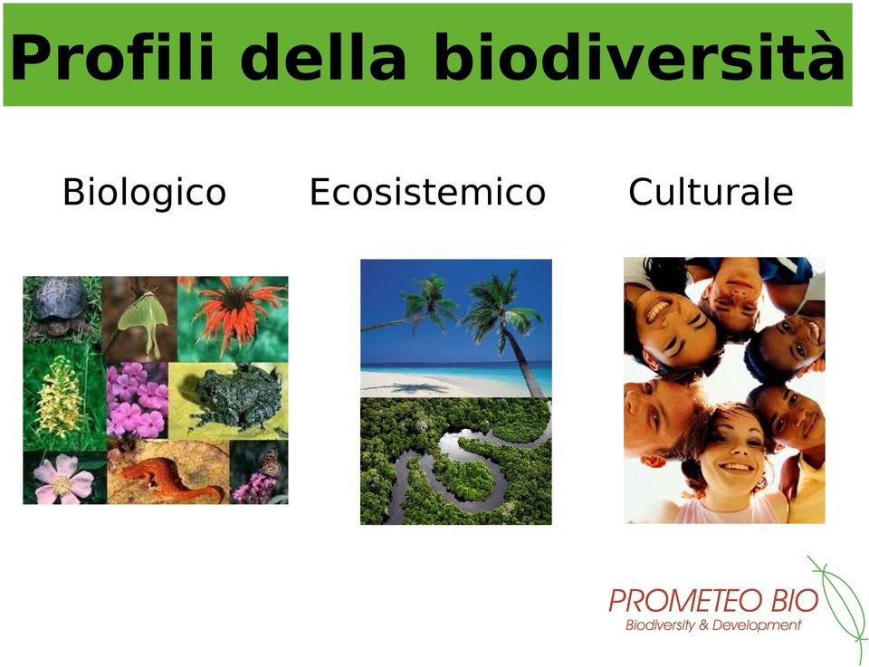 Biologico