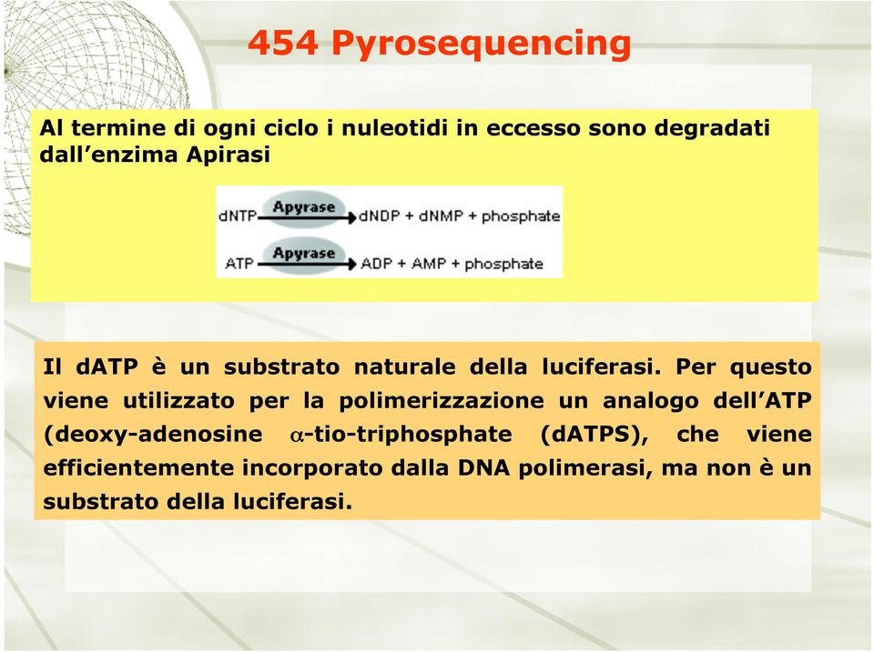 Per questo viene utilizzato per la polimerizzazione un analogo dell ATP (deoxy-adenosine