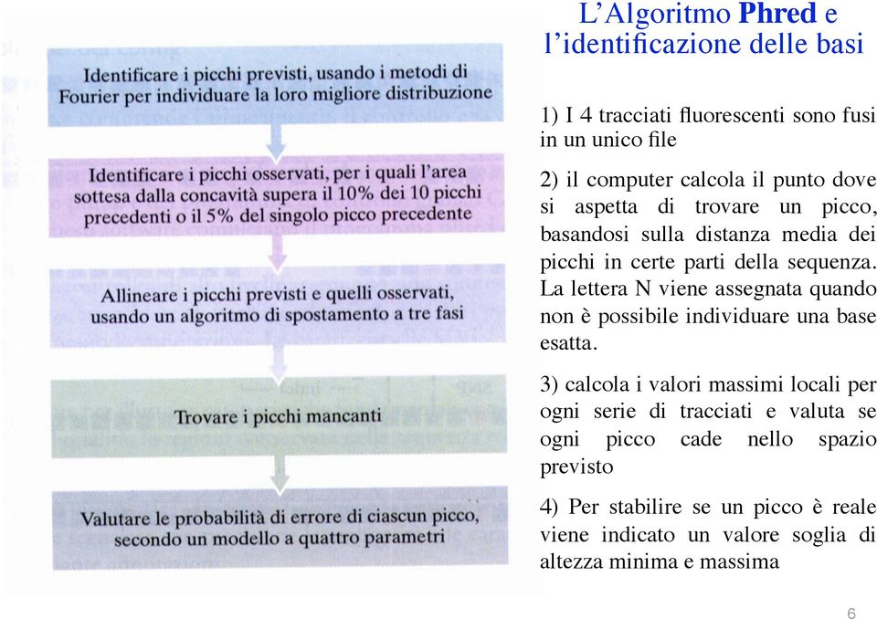 La lettera N viene assegnata quando non è possibile individuare una base esatta.