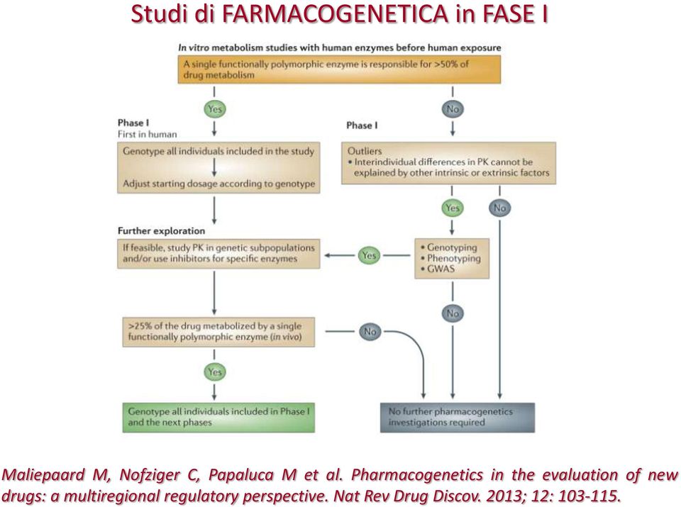 Pharmacogenetics in the evaluation of new drugs: a