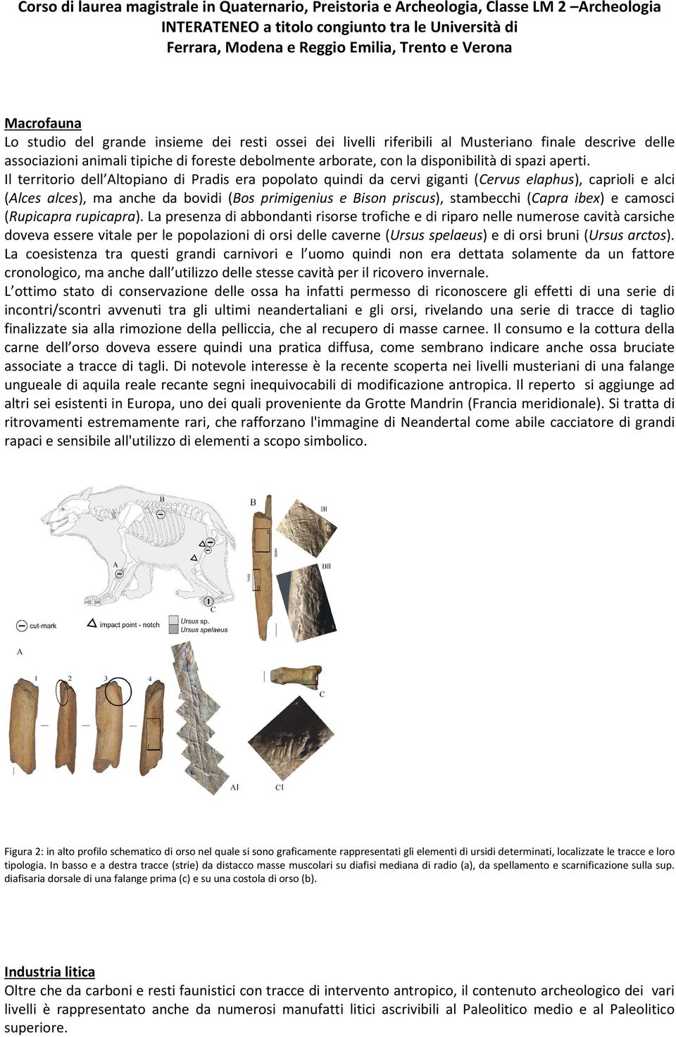 Il territorio dell Altopiano di Pradis era popolato quindi da cervi giganti (Cervus elaphus), caprioli e alci (Alces alces), ma anche da bovidi (Bos primigenius e Bison priscus), stambecchi (Capra