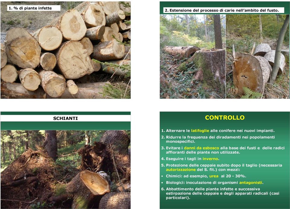 Protezione delle ceppaie subito dopo il taglio (necessaria autorizzazione del S. fit.) con mezzi: Chimici: ad esempio, urea al 20-30%.