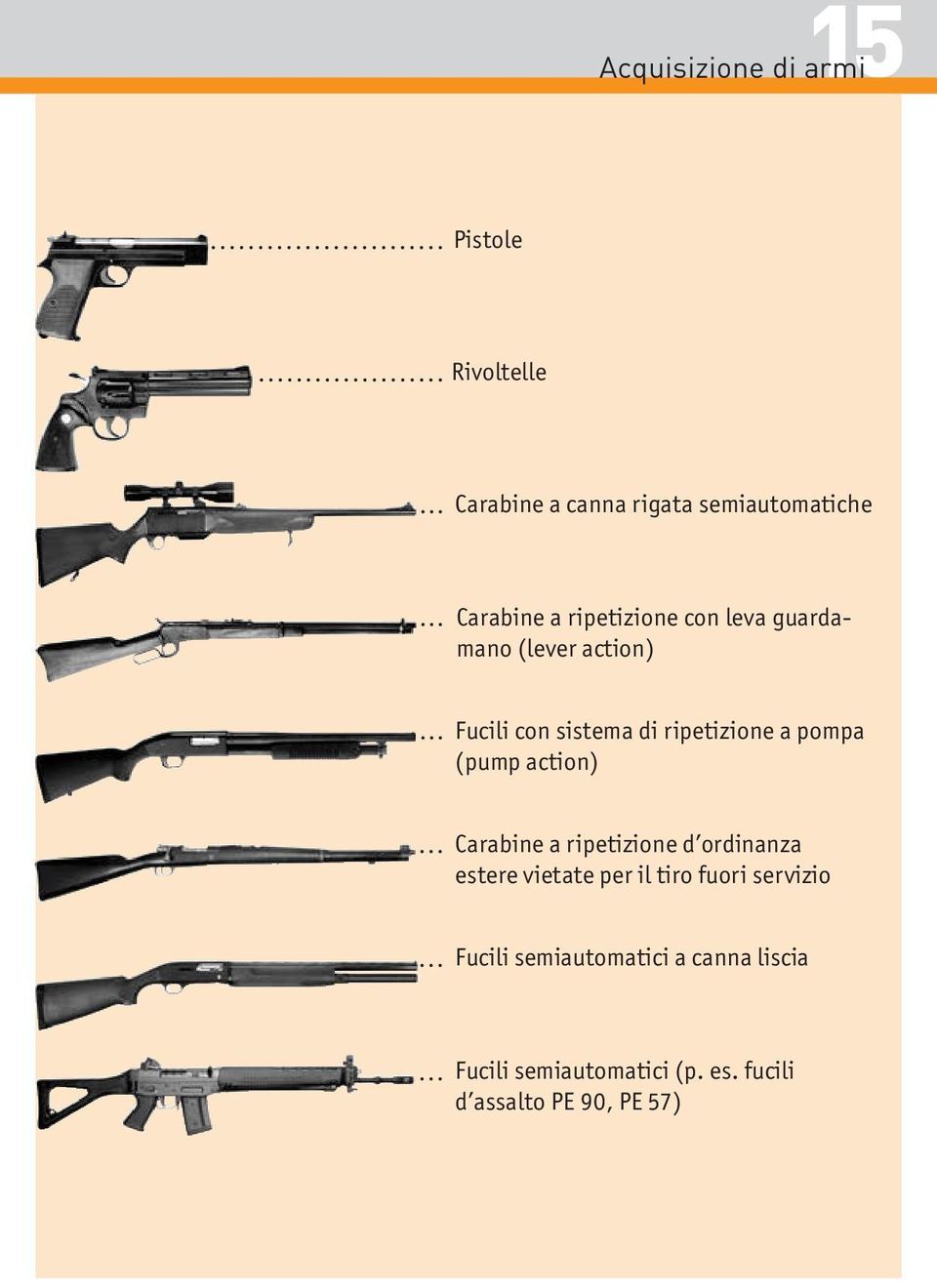 (pump action) Carabine a ripetizione d ordinanza estere vietate per il tiro fuori servizio