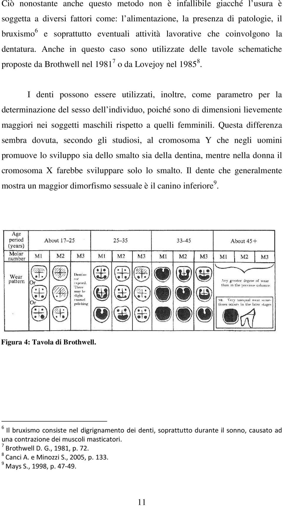 I denti possono essere utilizzati, inoltre, come parametro per la determinazione del sesso dell individuo, poiché sono di dimensioni lievemente maggiori nei soggetti maschili rispetto a quelli