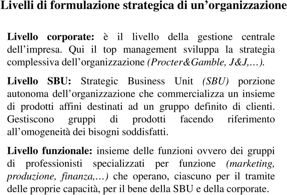 Livello SBU: Strategic Business Unit (SBU) porzione autonoma dell organizzazione che commercializza un insieme di prodotti affini destinati ad un gruppo definito di clienti.