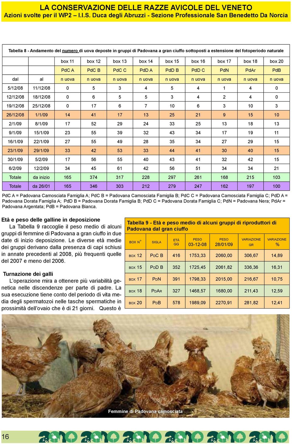 Duca degli Abruzzi - Sezione Professionale San Benedetto Da Norcia Tabella 8 - Andamento del numero di uova deposte in gruppi di Padovana a gran ciuffo sottoposti a estensione del fotoperiodo