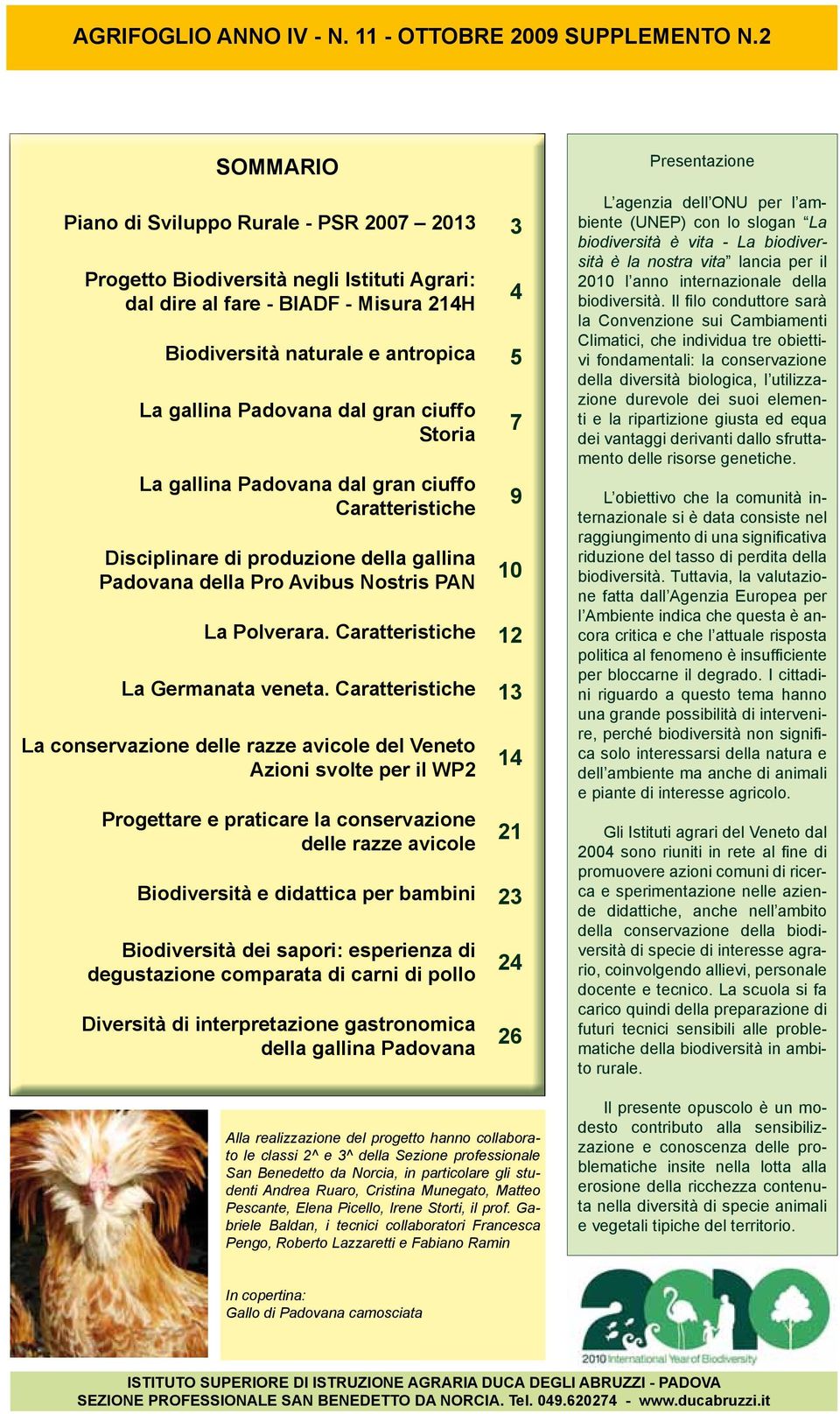 gran ciuffo Storia La gallina Padovana dal gran ciuffo Caratteristiche Disciplinare di produzione della gallina Padovana della Pro Avibus Nostris PAN 10 La Polverara.