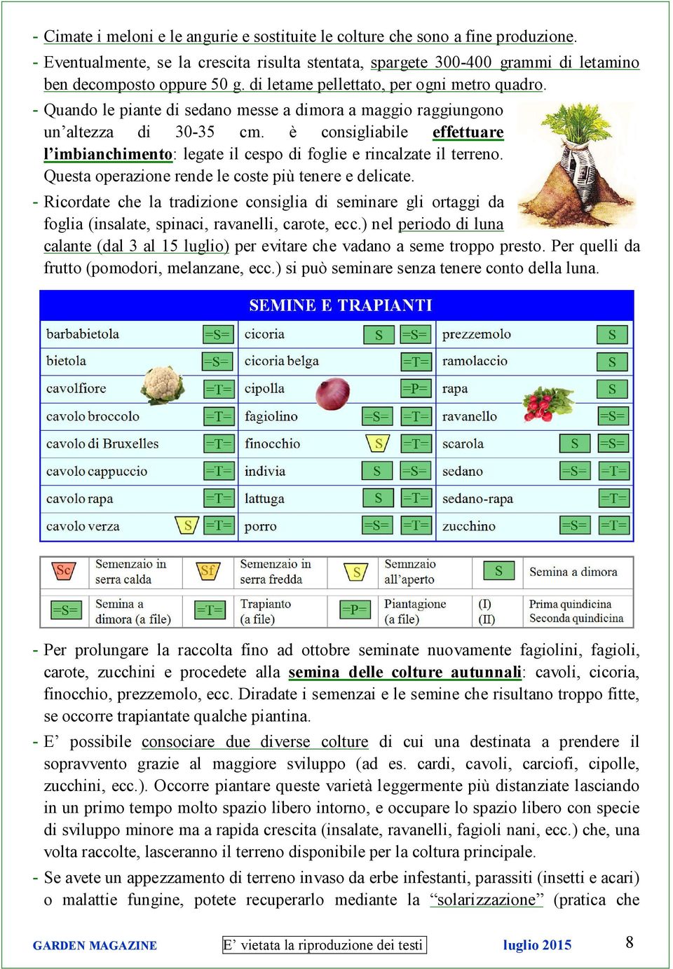 è consigliabile effettuare l imbianchimento: legate il cespo di foglie e rincalzate il terreno. Questa operazione rende le coste più tenere e delicate.