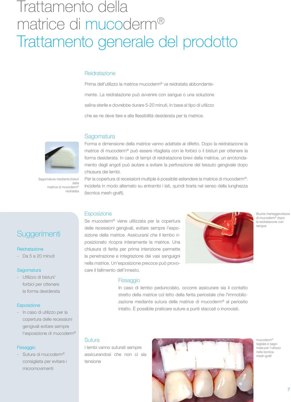 Sagomatura mediante bisturi della matrice di mucoderm reidratata Sagomatura Forma e dimensione della matrice vanno adattate al difetto.