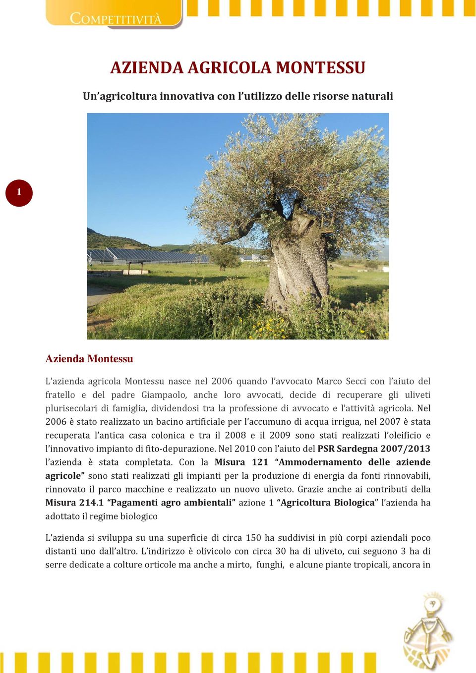 Nel 2006 è stato realizzato un bacino artificiale per l accumuno di acqua irrigua, nel 2007 è stata recuperata l antica casa colonica e tra il 2008 e il 2009 sono stati realizzati l oleificio e l