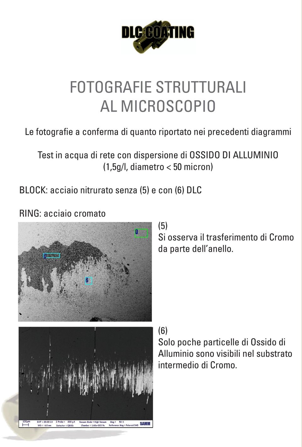 nitrurato senza (5) e con (6) DLC RING: acciaio cromato (5) Si osserva il trasferimento di Cromo da parte