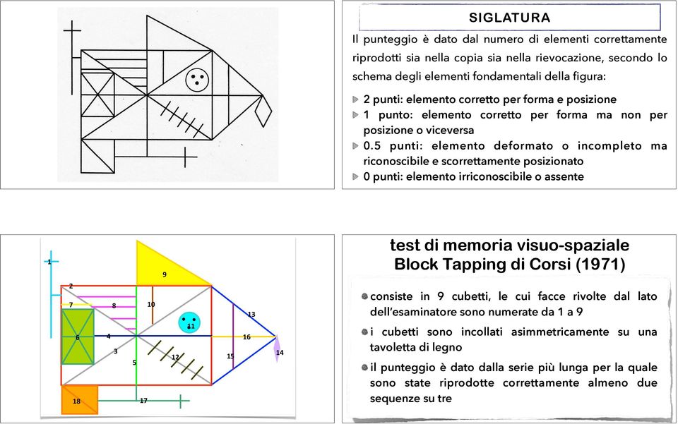 5 punti: elemento deformato o incompleto ma riconoscibile e scorrettamente posizionato 0 punti: elemento irriconoscibile o assente 1 2 7 8 6 4 3 18 5 17 10 9 12 11 15 16 13 14 test di memoria