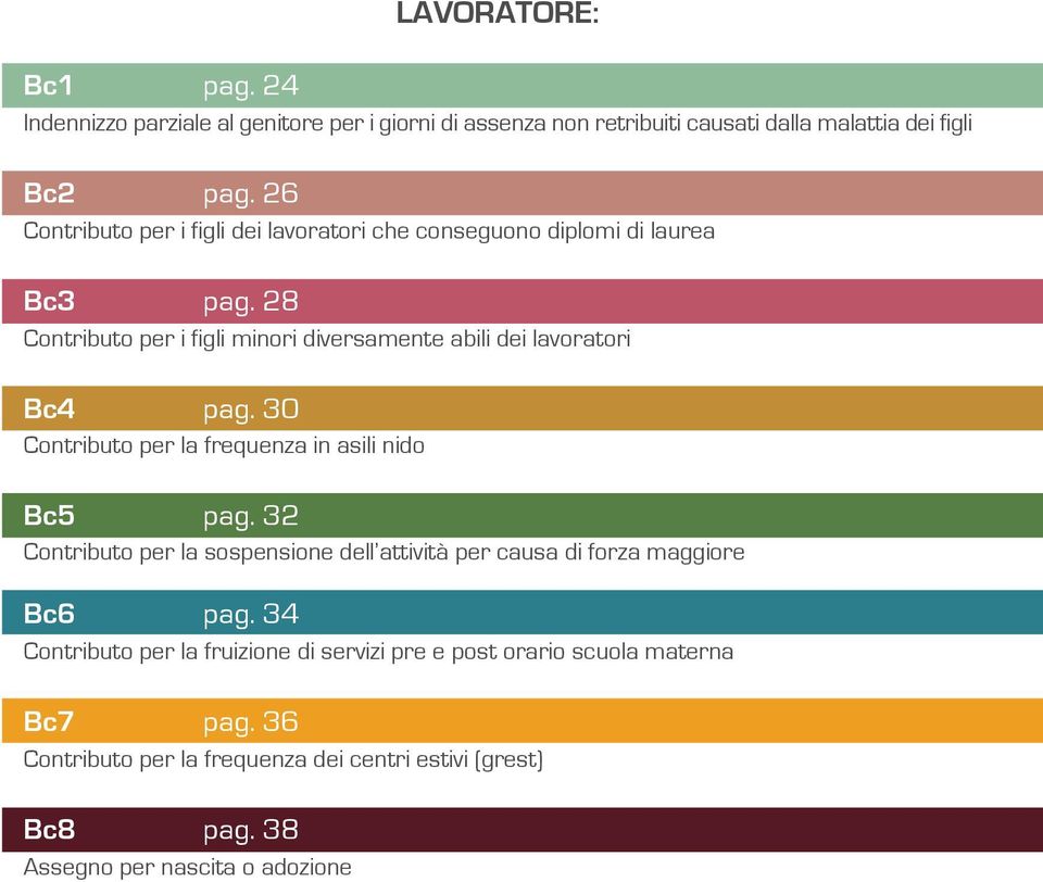 28 Contributo per i figli minori diversamente abili dei lavoratori Bc4 pag. 30 Contributo per la frequenza in asili nido Bc5 pag.