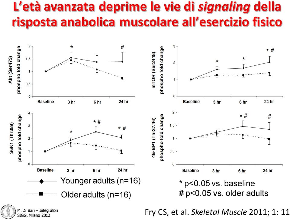 (n=16) Older adults (n=16) * p<0.05 vs. baseline # p<0.