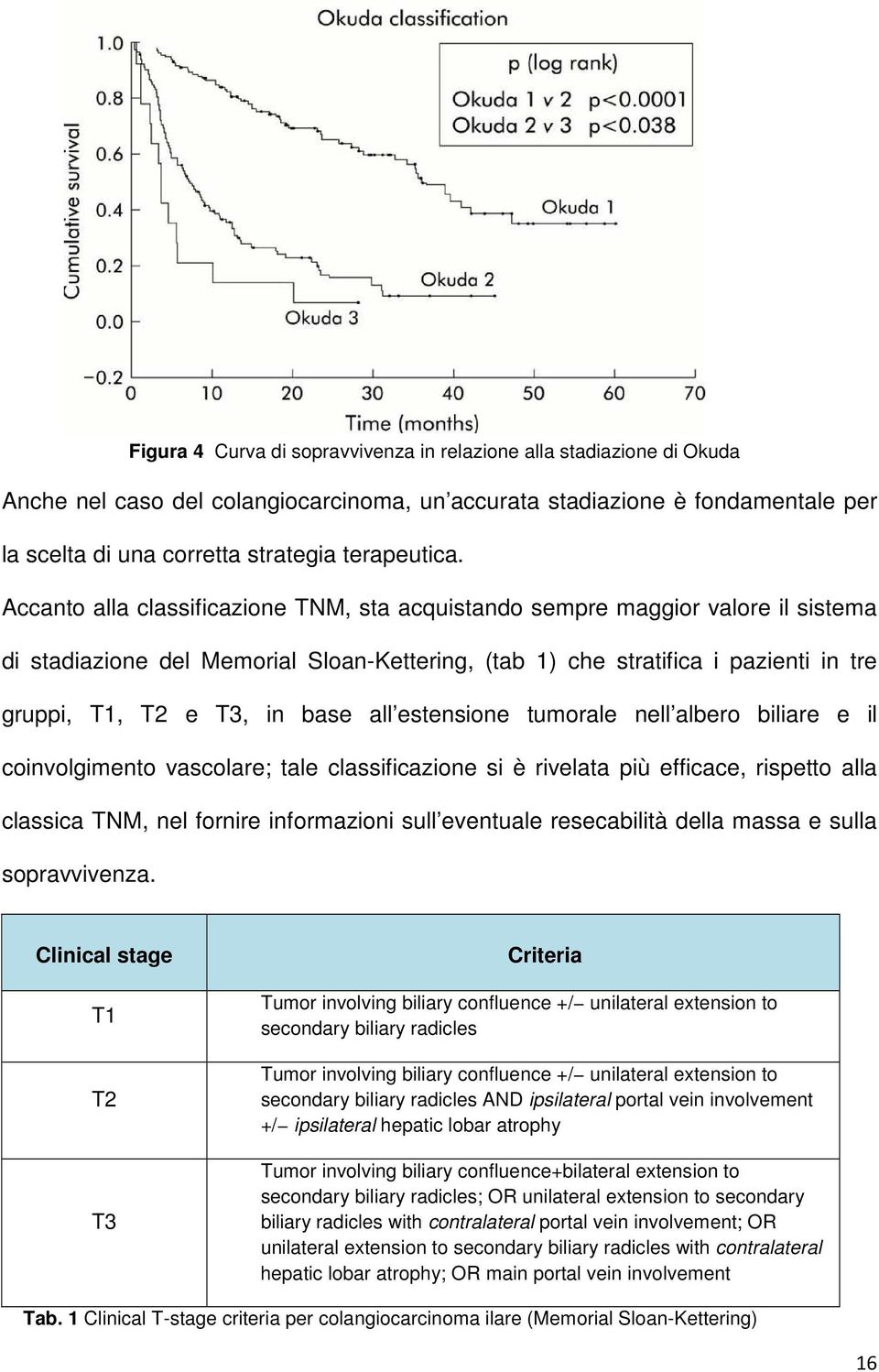 all estensione tumorale nell albero biliare e il coinvolgimento vascolare; tale classificazione si è rivelata più efficace, rispetto alla classica TNM, nel fornire informazioni sull eventuale