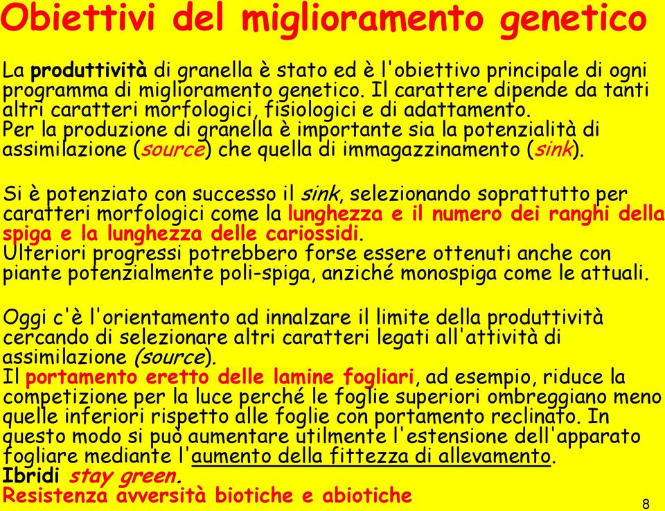 Per la produzione di granella è importante sia la potenzialità di assimilazione (source) che quella di immagazzinamento (sink).