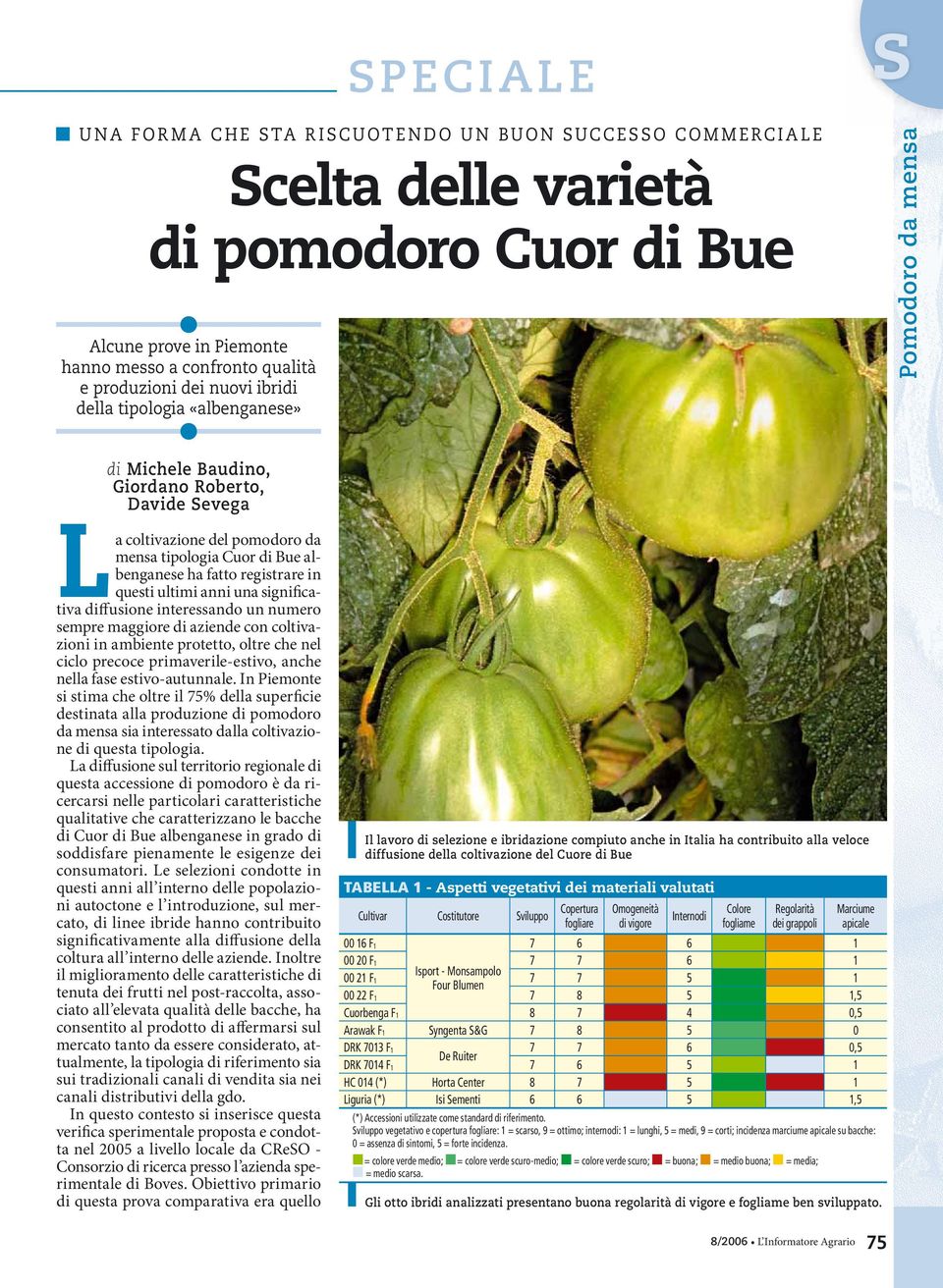 significativa diffusione interessando un numero sempre maggiore di aziende con coltivazioni in ambiente protetto, oltre che nel ciclo precoce primaverile-estivo, anche nella fase estivo-autunnale.