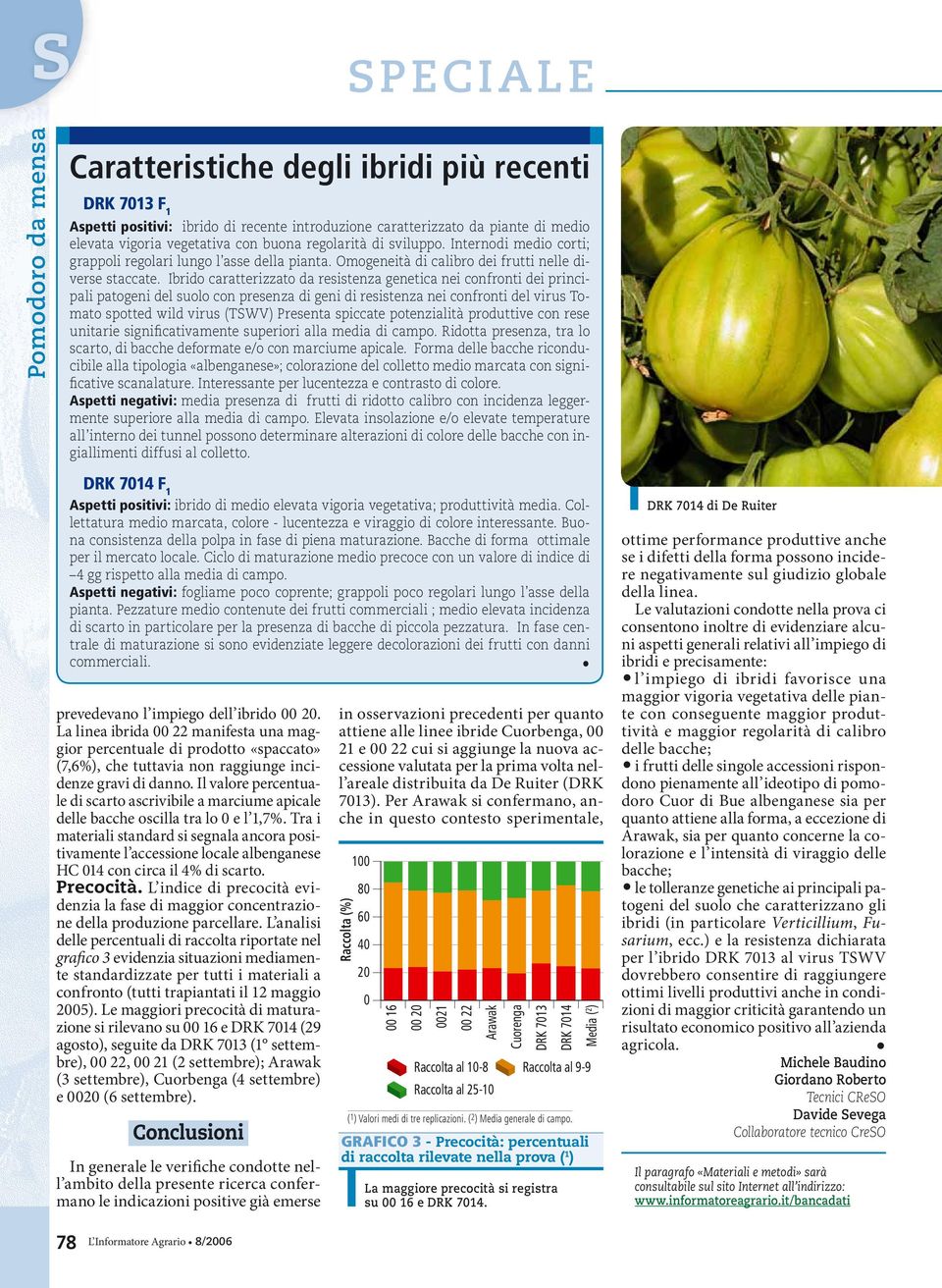 Ibrido caratterizzato da resistenza genetica nei confronti dei principali patogeni del suolo con presenza di geni di resistenza nei confronti del virus Tomato spotted wild virus (TWV) Presenta