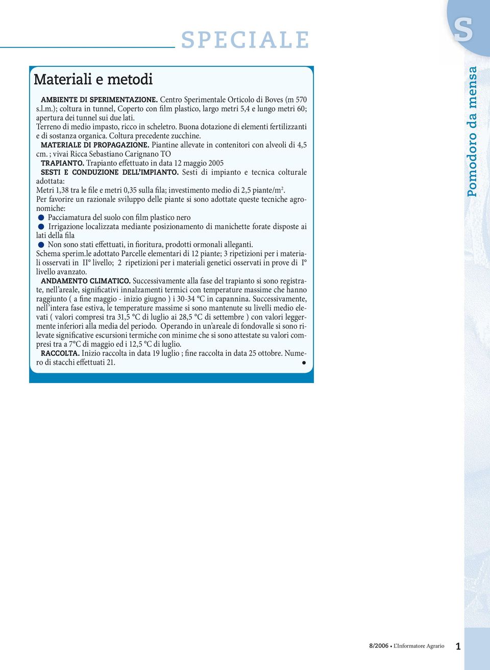 Piantine allevate in contenitori con alveoli di 4,5 cm. ; vivai Ricca ebastiano Carignano TO TRAPIANTO. Trapianto effettuato in data 12 maggio 2005 ETI E CONDUZIONE DELL IMPIANTO.