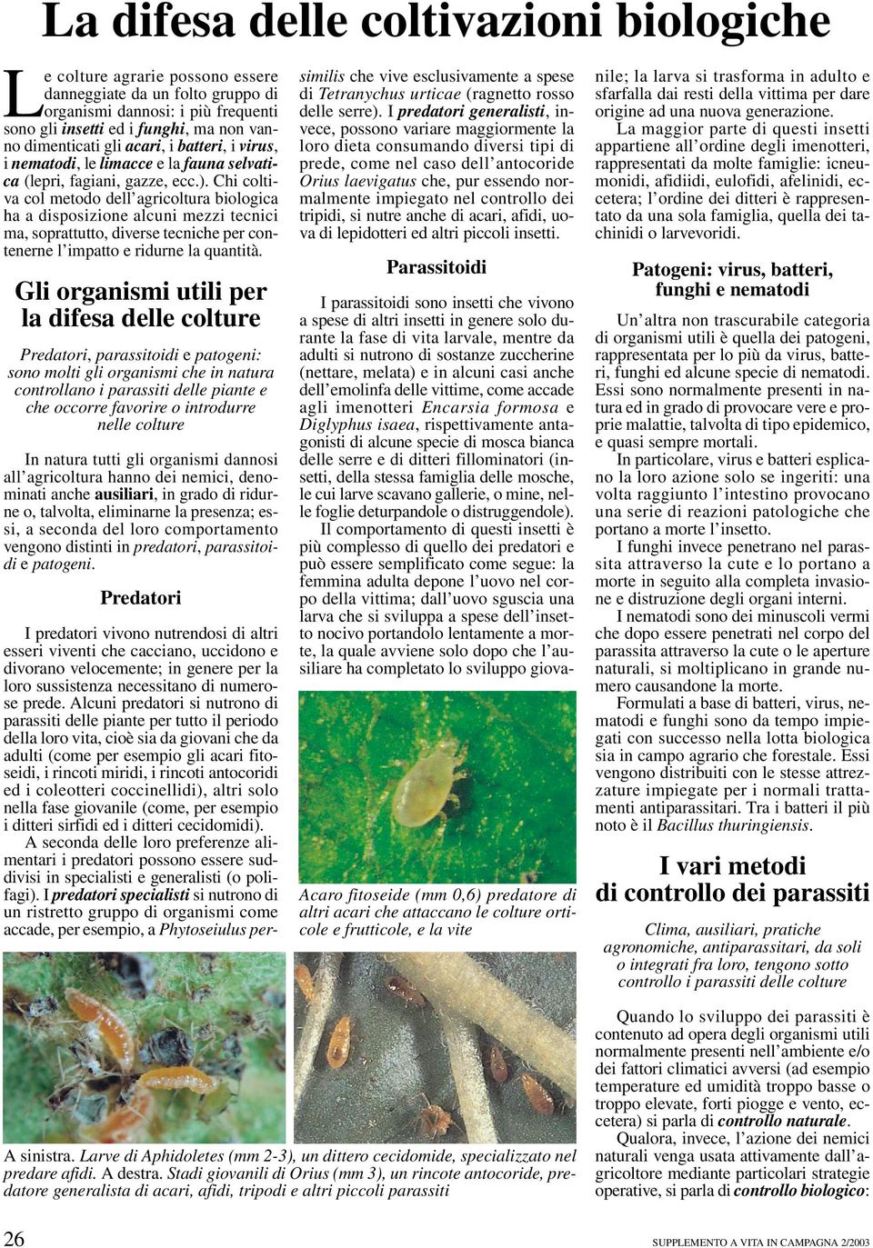 Chi coltiva col metodo dell agricoltura biologica ha a disposizione alcuni mezzi tecnici ma, soprattutto, diverse tecniche per contenerne l impatto e ridurne la quantità.