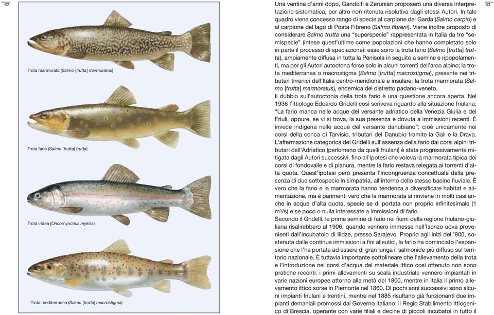 Viene inoltre proposto di considerare Salmo trutta una superspecie rappresentata in Italia da tre semispecie (intese quest ultime come popolazioni che hanno completato solo in parte il processo di