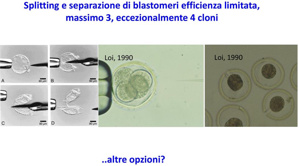 massimo 3, eccezionalmente 4