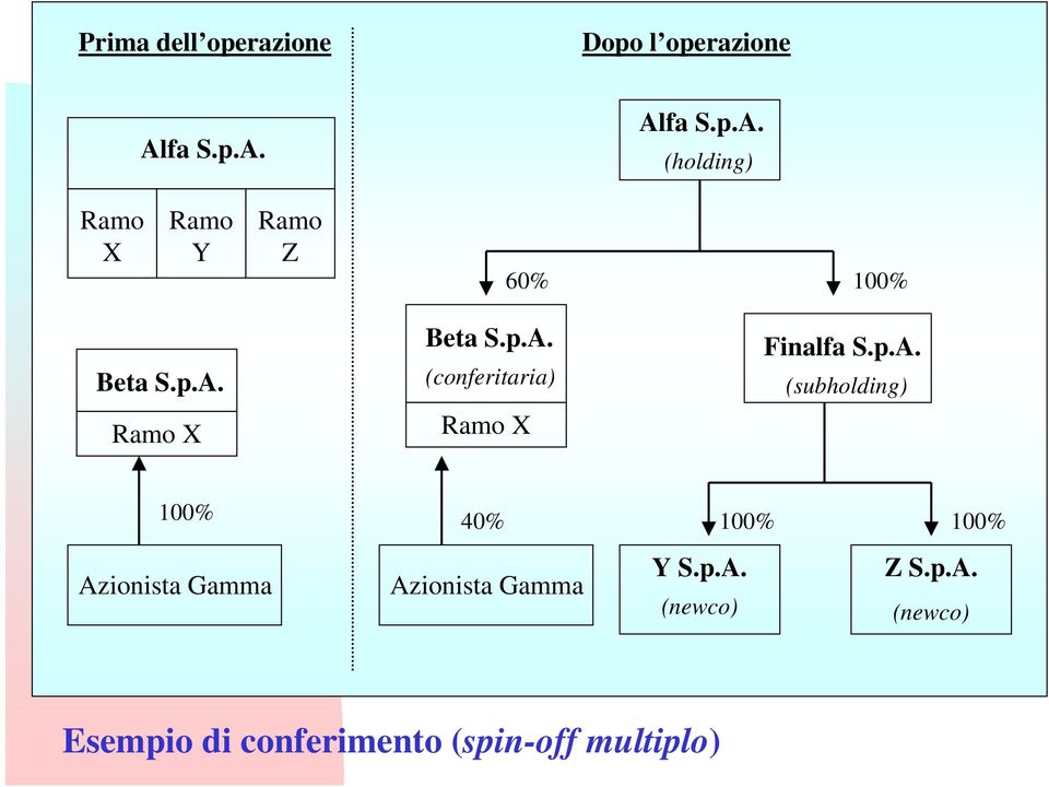 p.A. (conferitaria) Ramo X Finalfa S.p.A. (subholding) 100% Azionista Gamma 40% Azionista Gamma 100% 100% Y S.