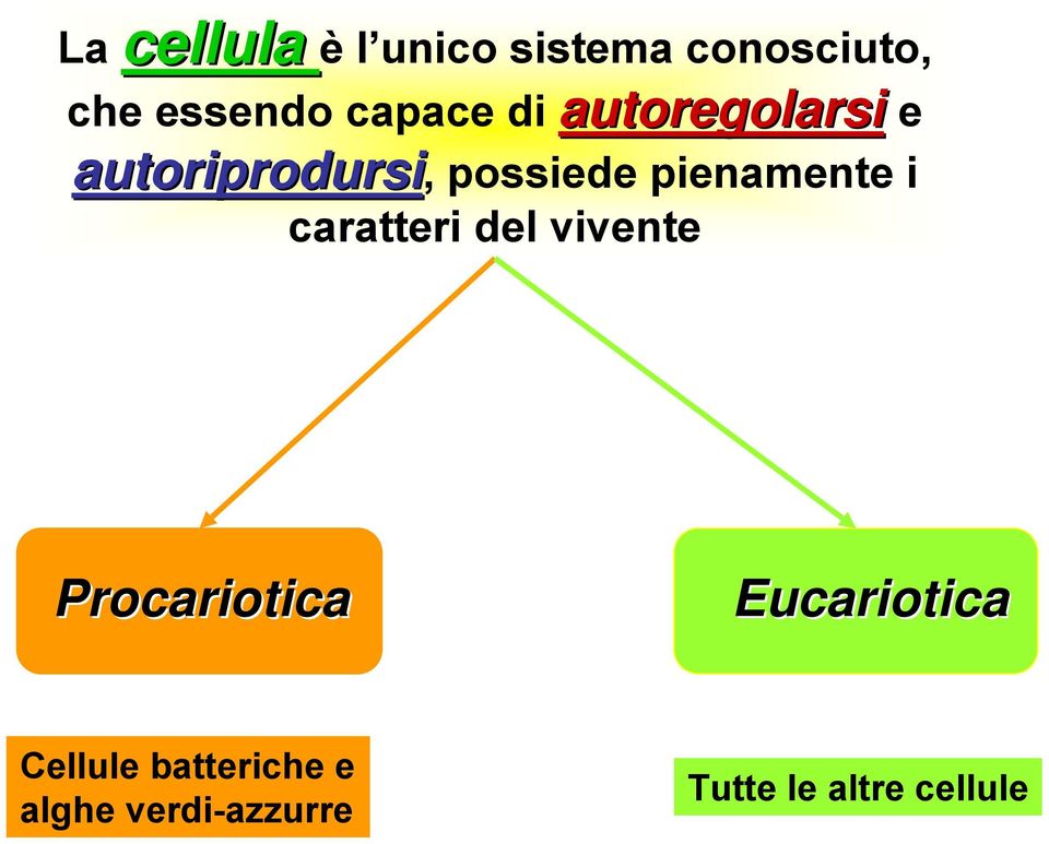 caratteri del vivente La cellula Procariotica Eucariotica