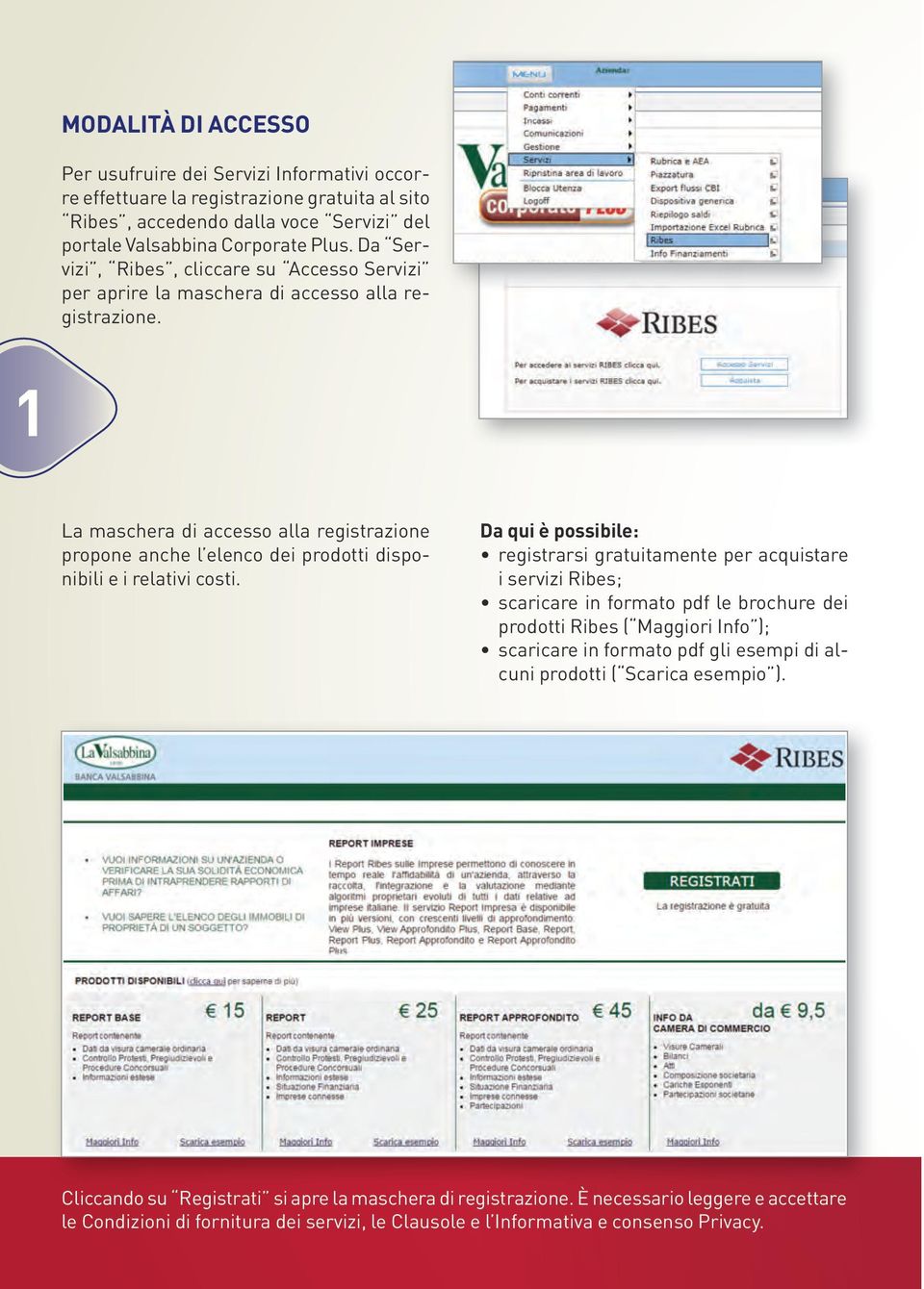 1 La maschera di accesso alla registrazione propone anche l elenco dei prodotti disponibili e i relativi costi.