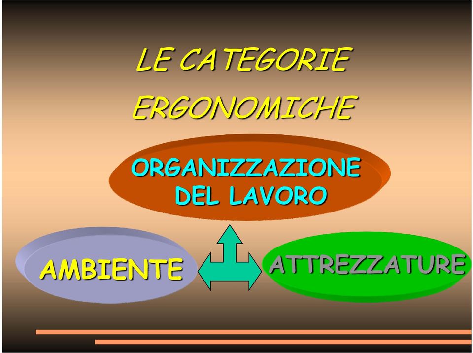 ORGANIZZAZIONE