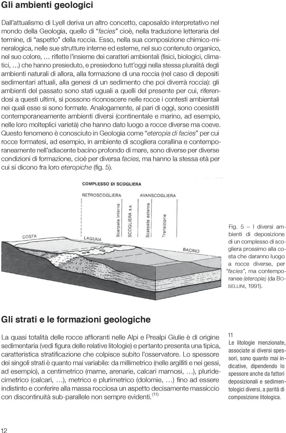 Esso, nella sua composizione chimico-mineralogica, nelle sue strutture interne ed esterne, nel suo contenuto organico, nel suo colore, rifl ette l insieme dei caratteri ambientali (fi sici,