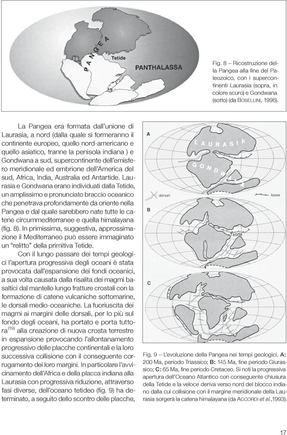 supercontinente dell emisfero meridionale ed embrione dell America del sud, Africa, India, Australia ed Antartide.