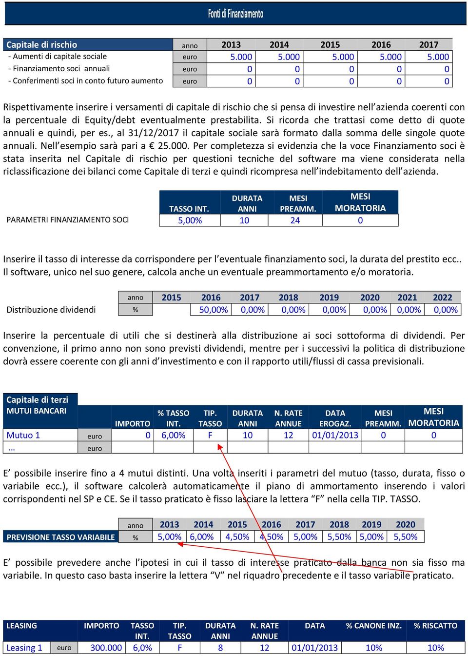 000 Finanziamento soci annuali 0 0 0 0 0 Conferimenti soci in conto futuro aumento 0 0 0 0 0 Rispettivamente inserire i versamenti di capitale di rischio che si pensa di investire nell azienda