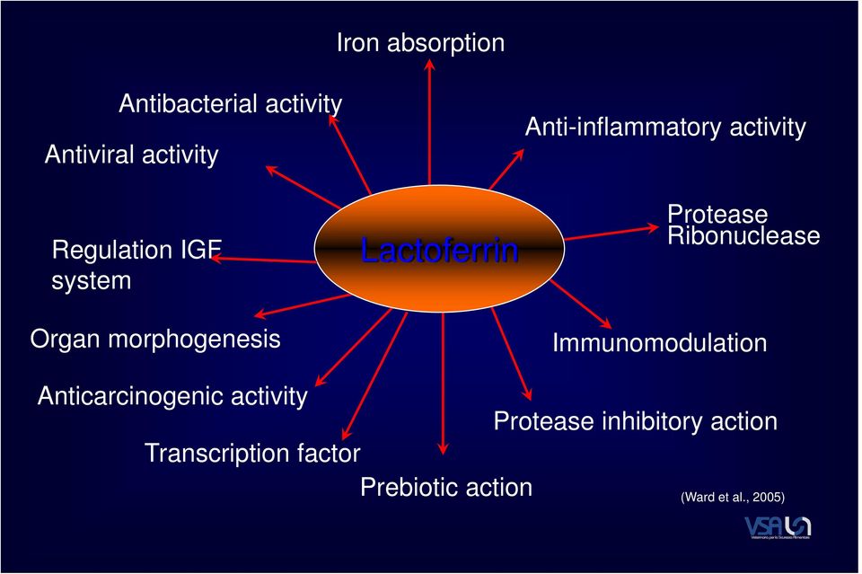 Protease Ribonuclease Immunomodulation Anticarcinogenic activity
