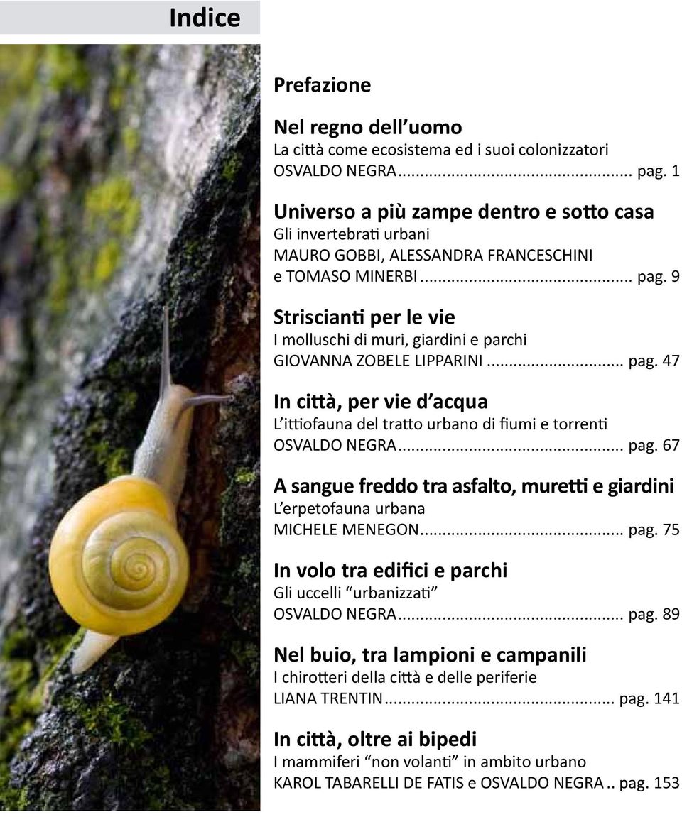 9 I Striscianti per le vie I molluschi di muri, giardini e parchi GIOVANNA ZOBELE LIPPARINI... pag. 47 In città, per vie d acqua L ittiofauna del tratto urbano di fiumi e torrenti OSVALDO NEGRA... pag. 67 A sangue freddo tra asfalto, muretti e giardini L erpetofauna urbana MICHELE MENEGON.