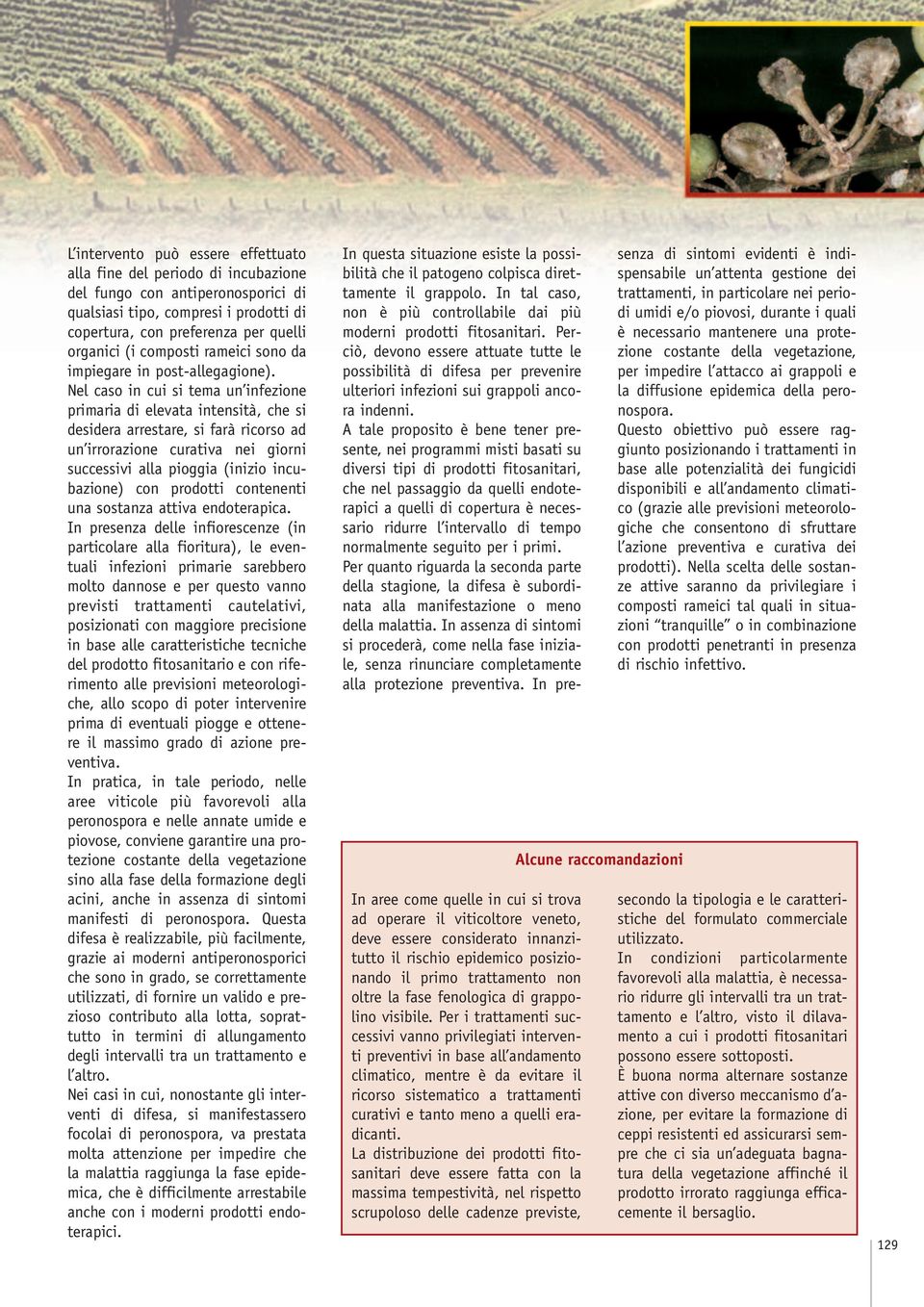 Nel caso in cui si tema un infezione primaria di elevata intensità, che si desidera arrestare, si farà ricorso ad un irrorazione curativa nei giorni successivi alla pioggia (inizio incubazione) con