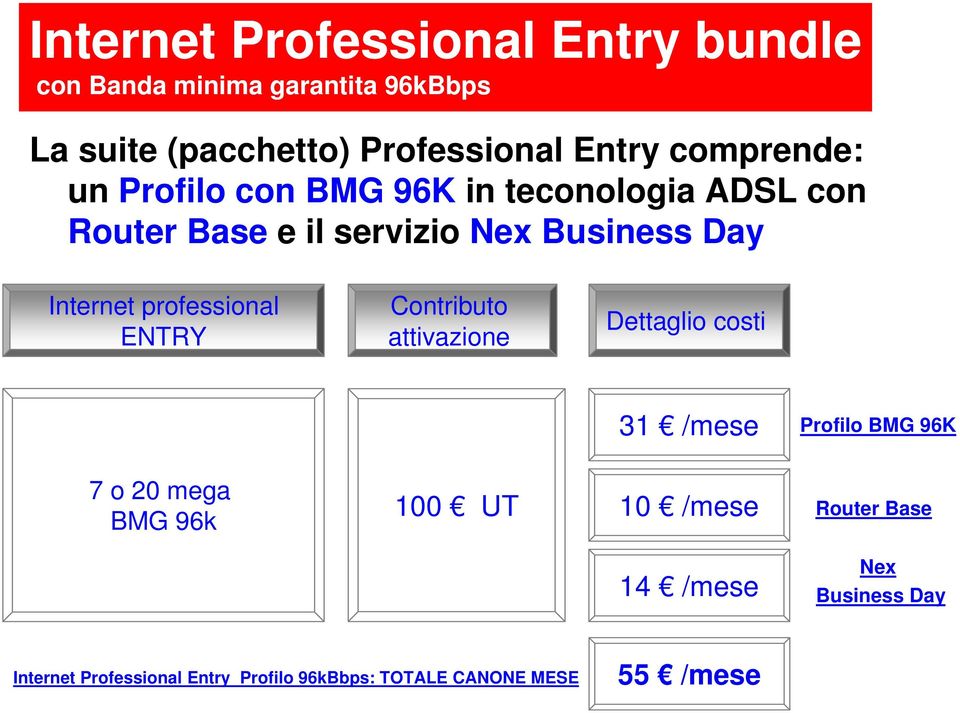 professional ENTRY Contributo attivazione Dettaglio costi 31 /mese Profilo BMG 96K 7 o 20 mega BMG 96k 100 UT 10