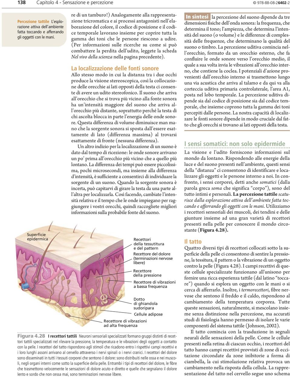 ) Analogamente alla rappresentazione tricromatica e ai processi antagonisti nell elaborazione del colore, il codice di posizione e il codice temporale lavorano insieme per coprire tutta la gamma dei