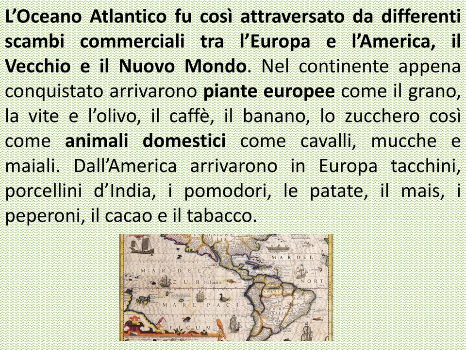 Nel continente appena conquistato arrivarono piante europee come il grano, la vite e l olivo, il caffè, il