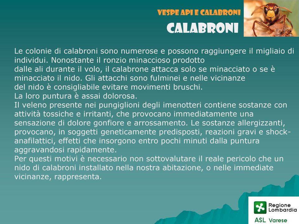 Gli attacchi sono fulminei e nelle vicinanze del nido è consigliabile evitare movimenti bruschi. La loro puntura è assai dolorosa.