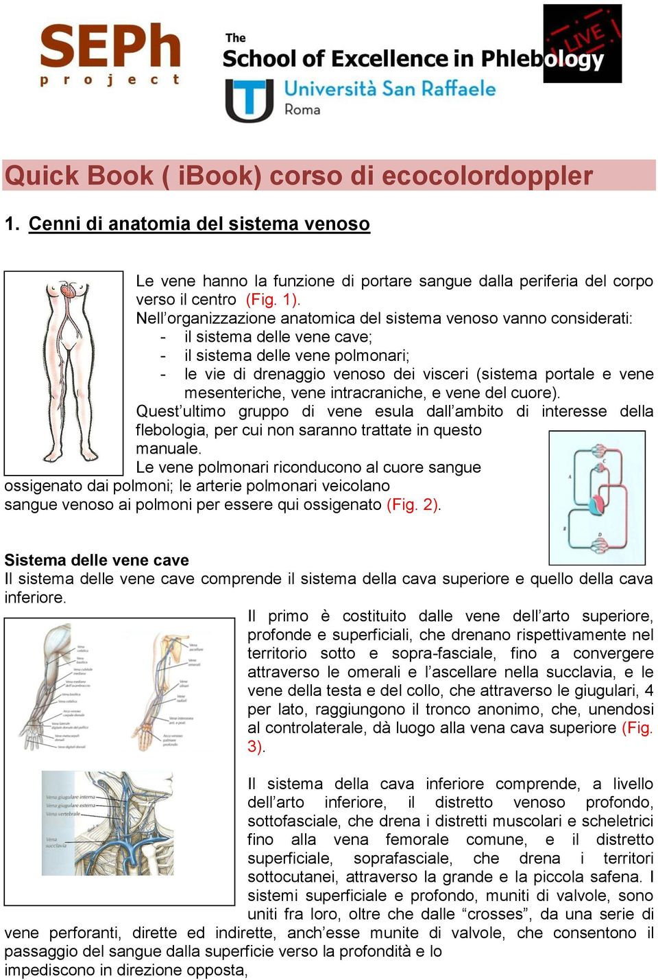 mesenteriche, vene intracraniche, e vene del cuore). Quest ultimo gruppo di vene esula dall ambito di interesse della flebologia, per cui non saranno trattate in questo manuale.