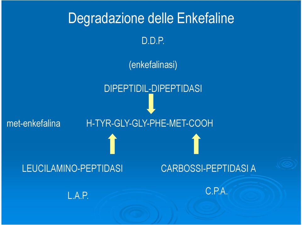 met-enkefalina H-TYR-GLY-GLY-PHE-MET-COOH