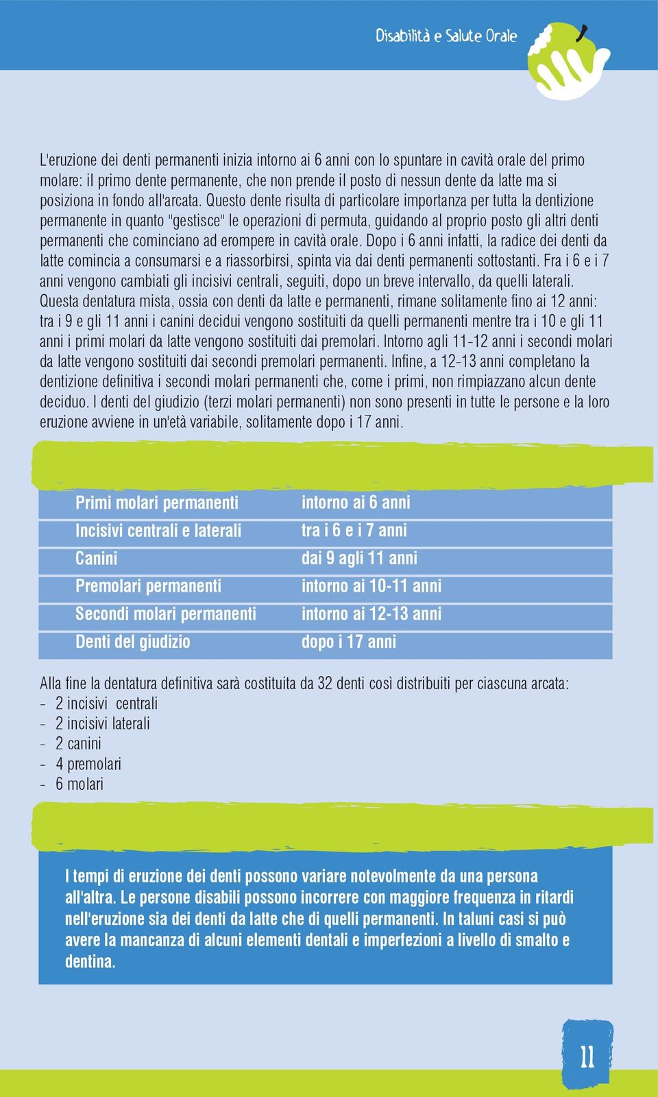 Questo dente risulta di particolare importanza per tutta la dentizione permanente in quanto "gestisce" le operazioni di permuta, guidando al proprio posto gli altri denti permanenti che cominciano ad