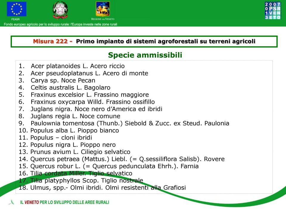 Populus alba L. Pioppo bianco 11. Populus cloni ibridi 12. Populus nigra L. Pioppo nero 13. Prunus avium L. Ciliegio selvatico 14. Quercus petraea (Mattus.) Liebl. (= Q.sessiliflora Salisb).