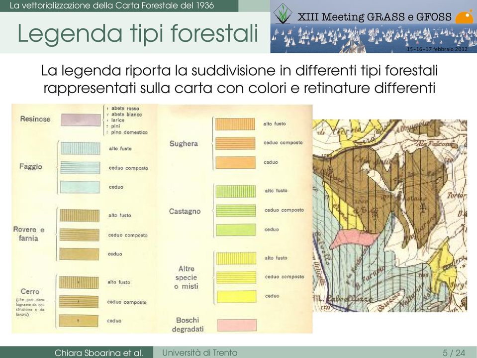 suddivisione in differenti tipi forestali