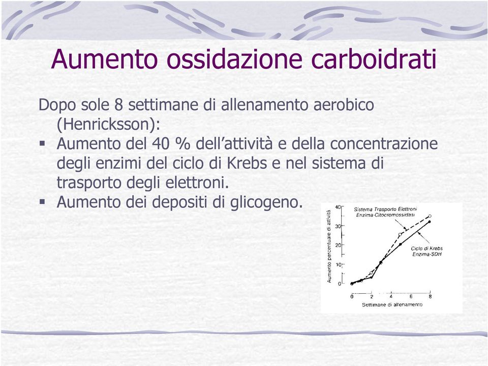 attività e della concentrazione degli enzimi del ciclo di Krebs