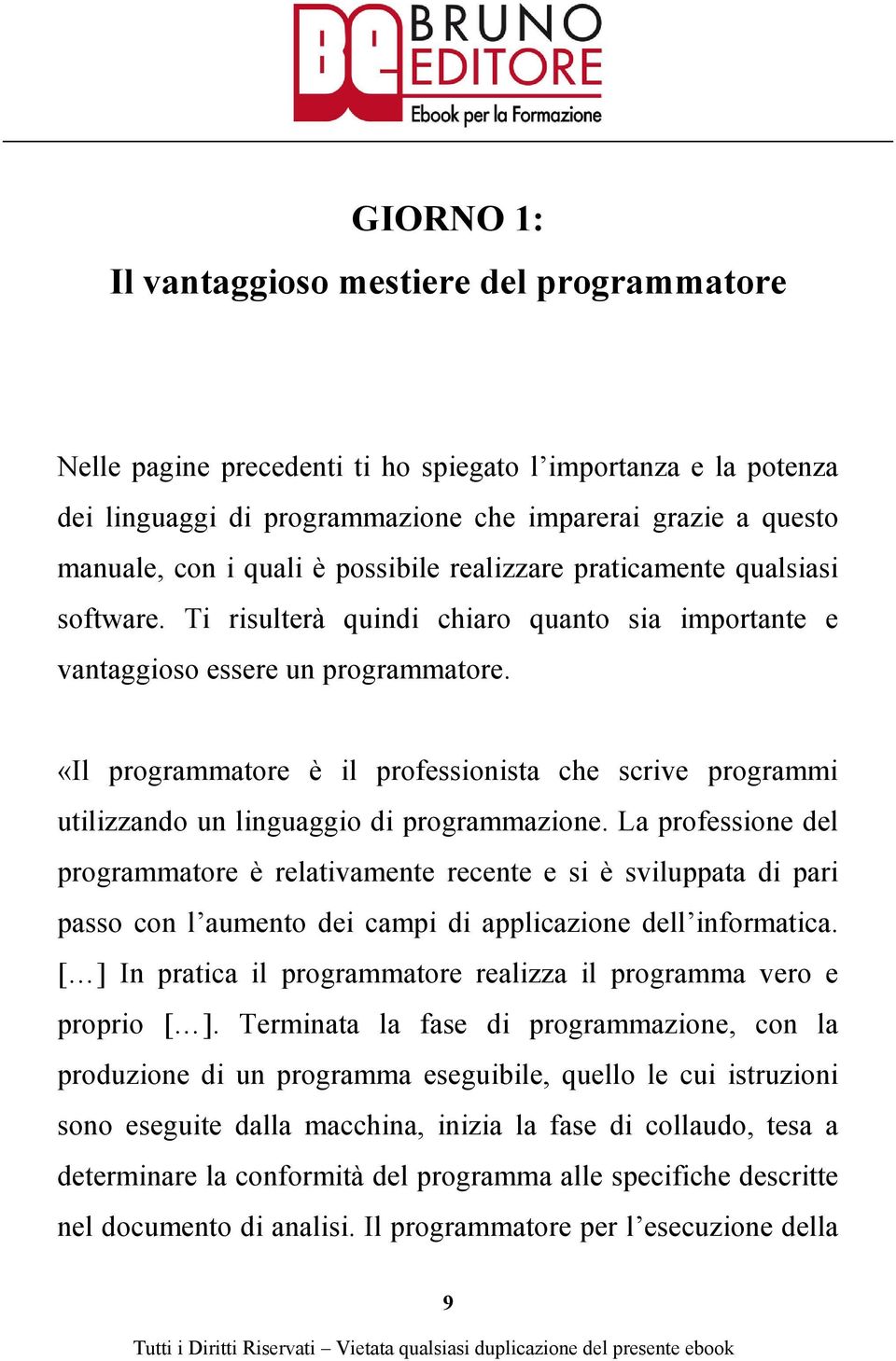 «Il programmatore è il professionista che scrive programmi utilizzando un linguaggio di programmazione.