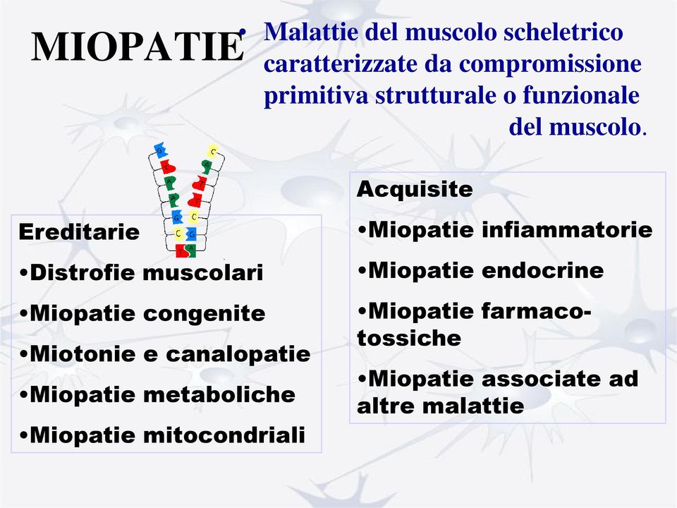 Acquisite Ereditarie Distrofie muscolari Miopatie congenite Miotonie e canalopatie